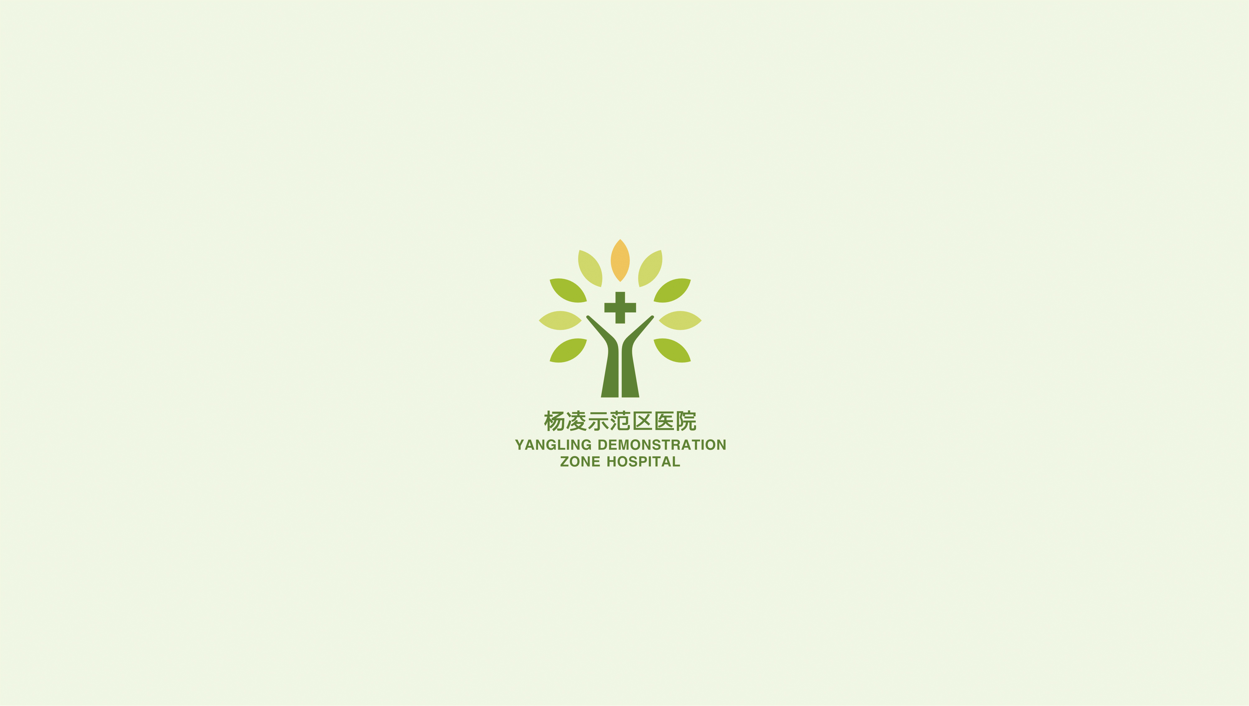 杨凌示范区医院品牌视觉设计
