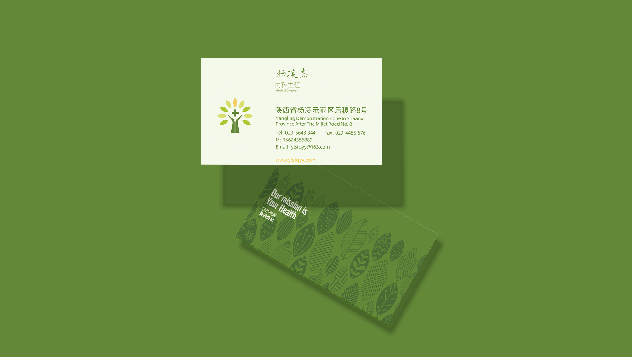 杨凌示范区医院品牌视觉设计